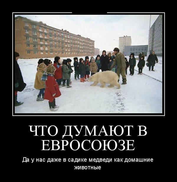 Демотиваторы