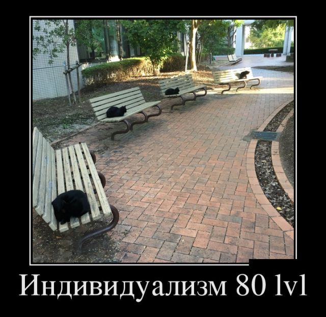 Демотиваторы