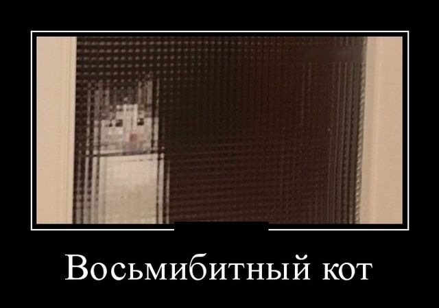 Демотиваторы