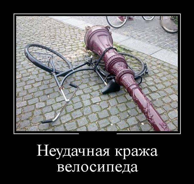 Демотиваторы
