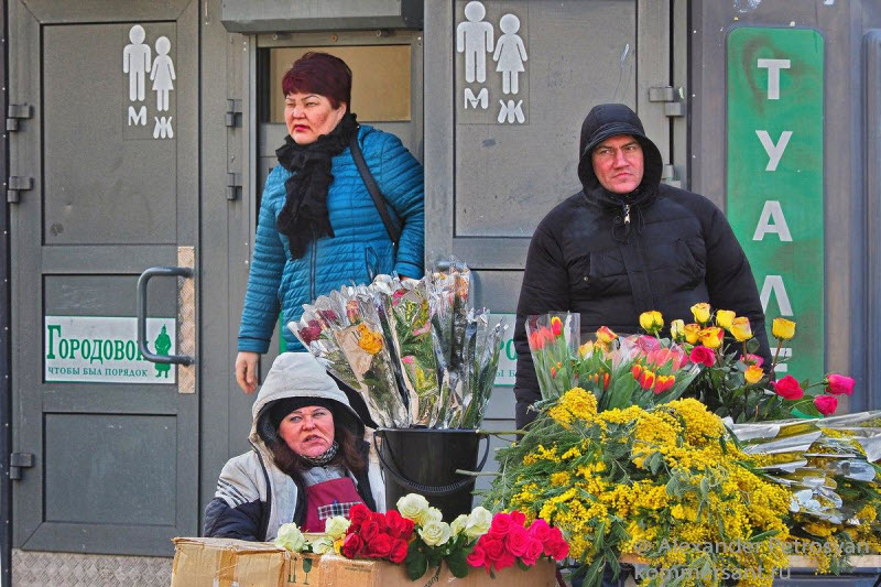 По родным просторам