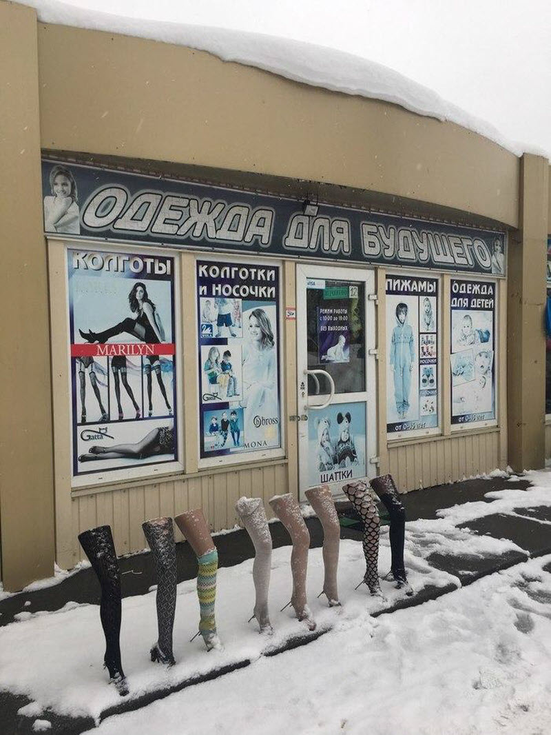 По родным просторам