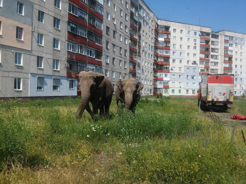 По родным просторам