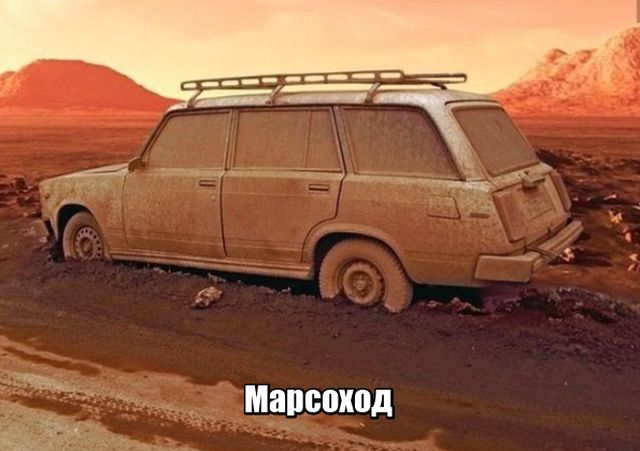 Прикольные картинки