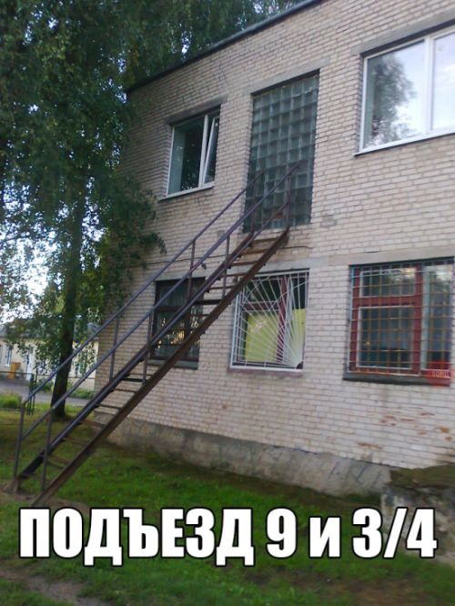Прикольные картинки