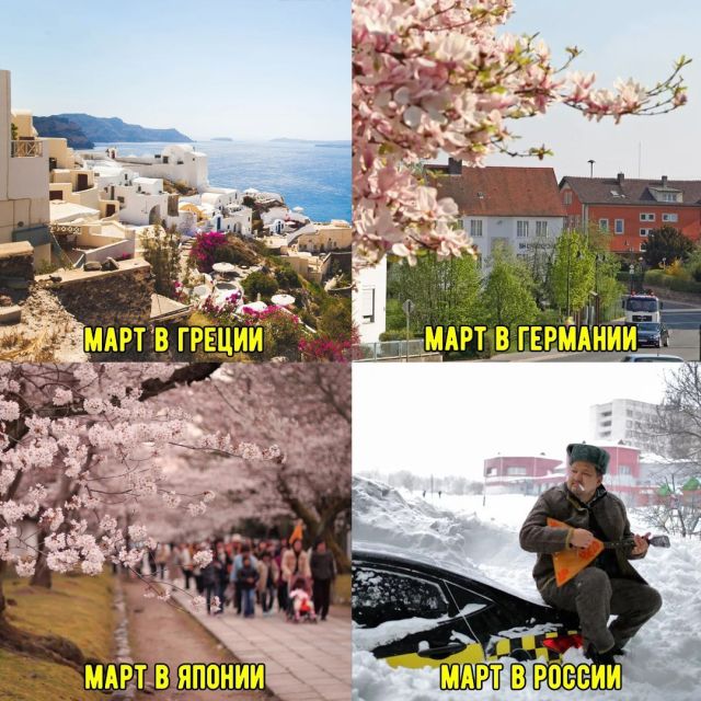 Прикольные картинки