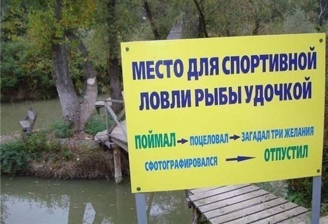 20 табличек и объявлений, которые такие же сумасшедшие, как наша жизнь