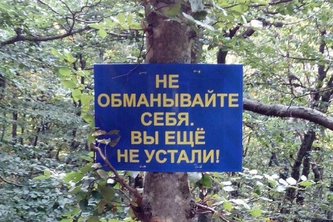 20 табличек и объявлений, которые такие же сумасшедшие, как наша жизнь