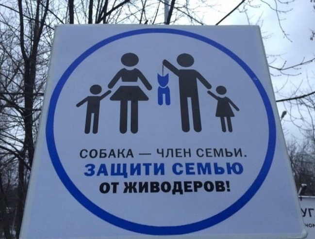 20 табличек и объявлений, которые такие же сумасшедшие, как наша жизнь