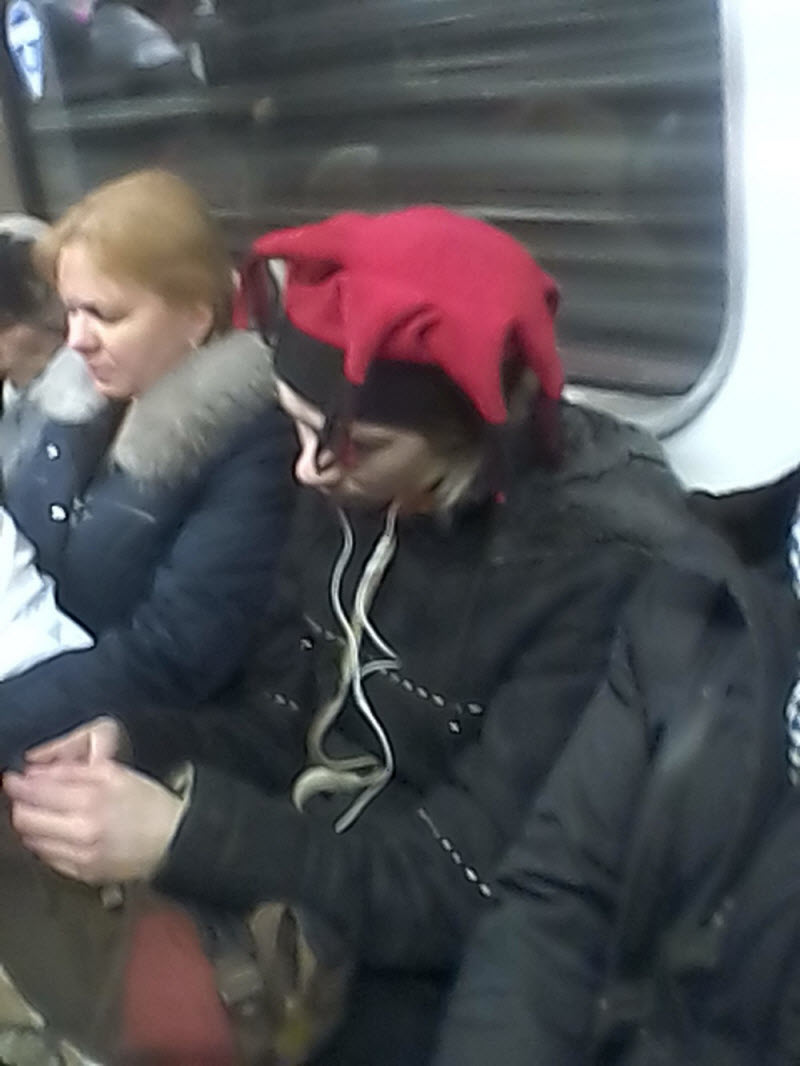 Модники из метрополитена