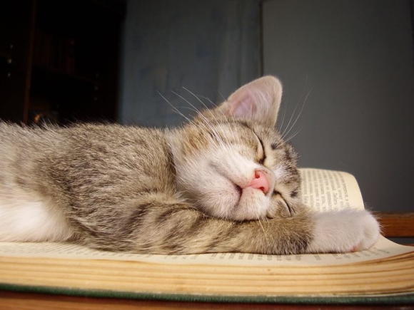 30 книг, на которые вы уже не сможете смотреть по-прежнему 30 книг, на которые вы уже не сможете смотреть по-прежнему