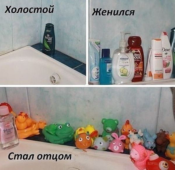 Прикольные картинки