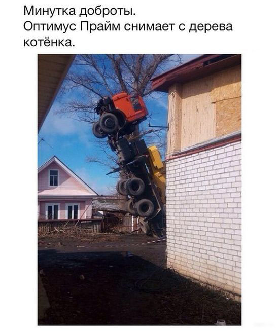 Прикольные картинки