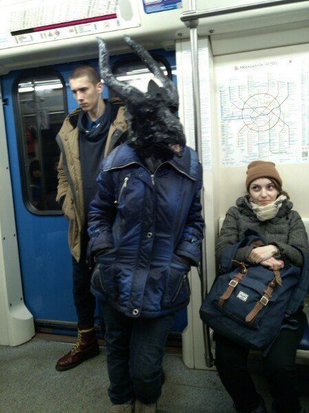 Прикольные картинки