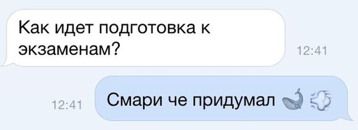 Прикольные картинки