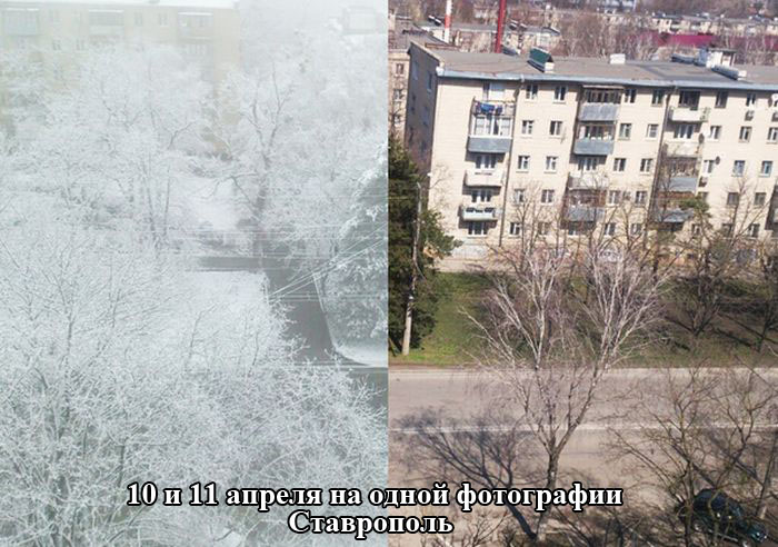 Прикольные картинки
