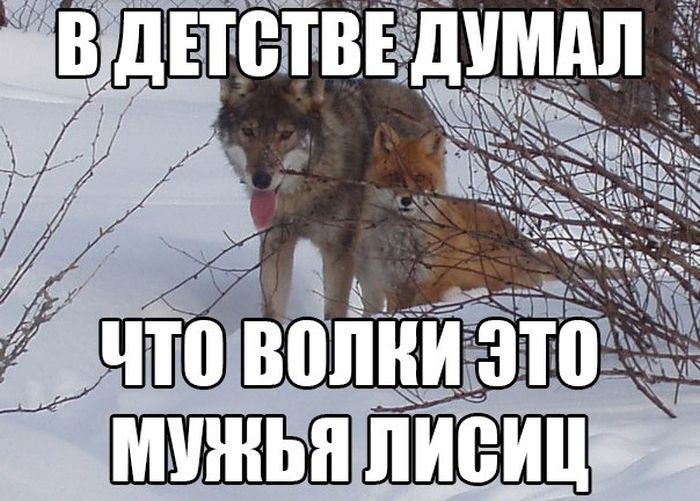 Прикольные картинки