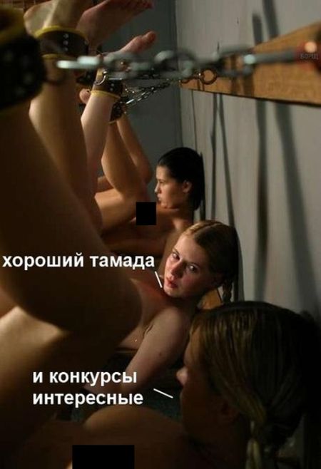 Прикольные картинки