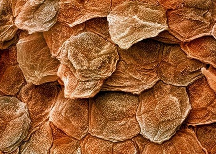 Удивительные космические открытия Удивительные космические открытия
