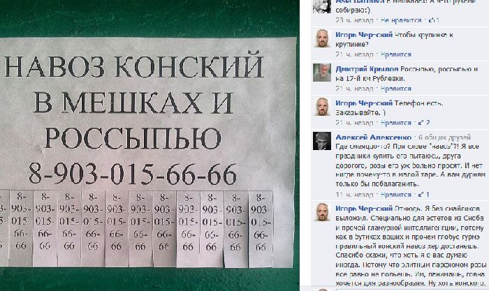 Прикольные картинки