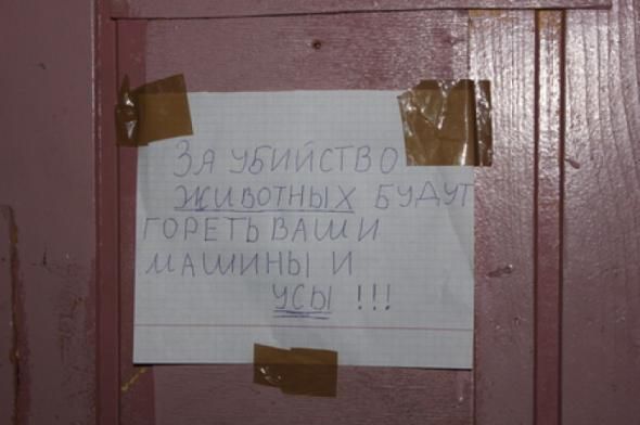 Прикольные картинки