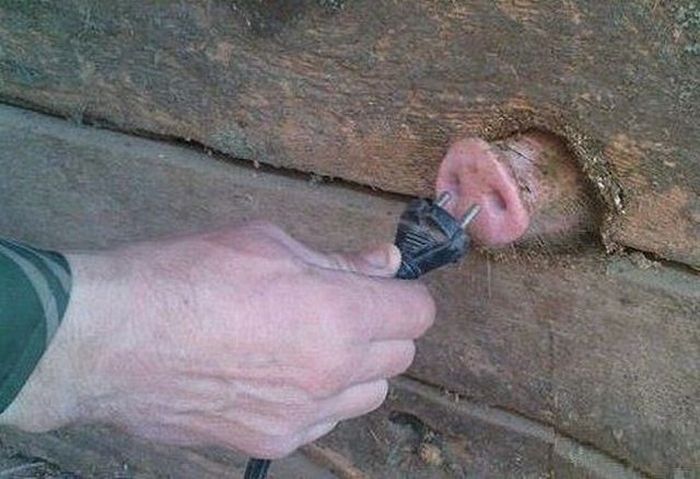 Прикольные картинки