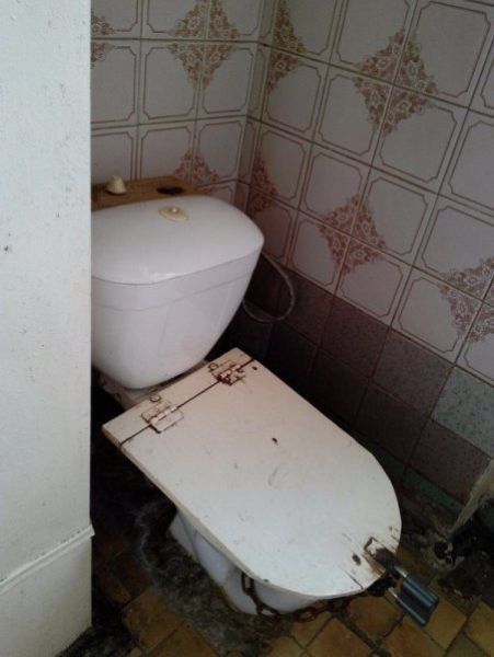 Только у нас в России (50 фото)