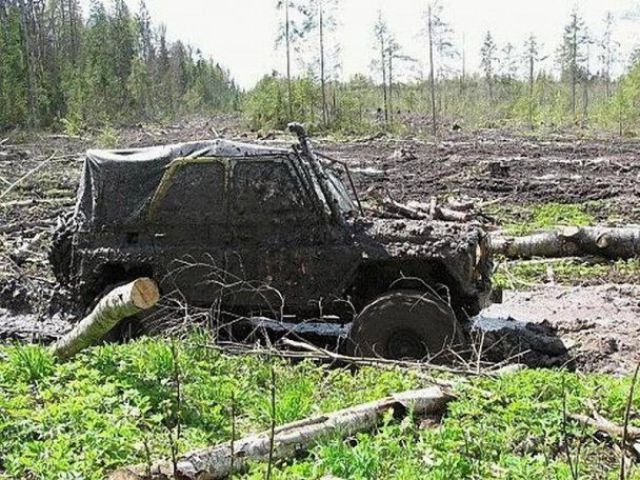 Только у нас в России (50 фото)