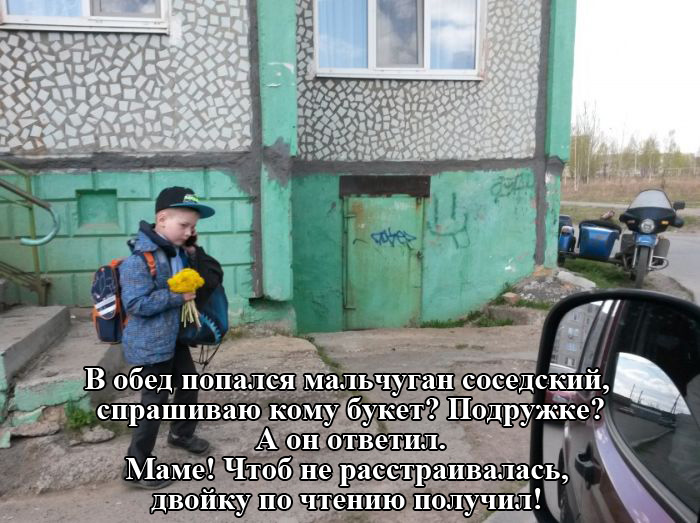 Порция картинок