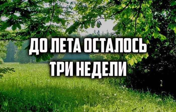 Порция картинок