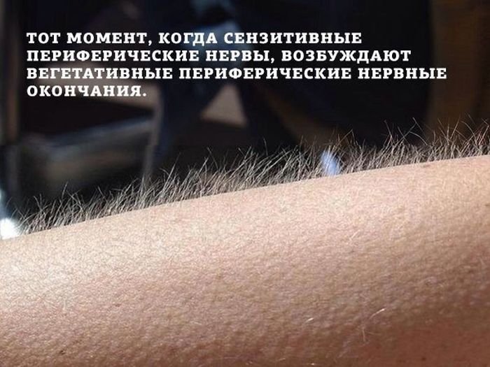 Порция картинок