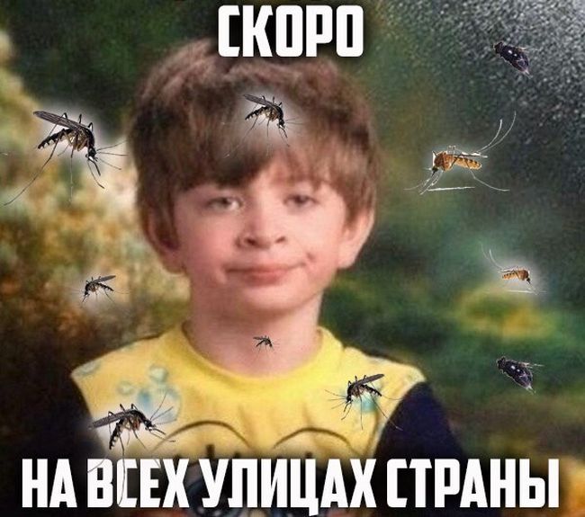Порция картинок