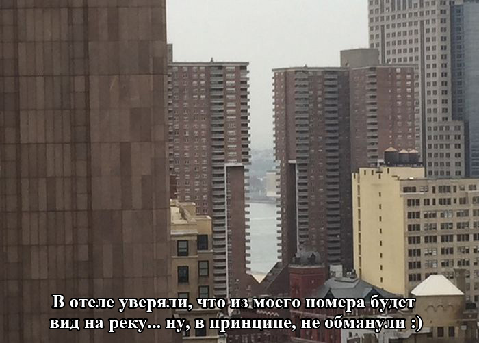 Порция картинок