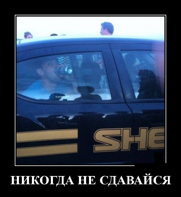 Демотиваторы
