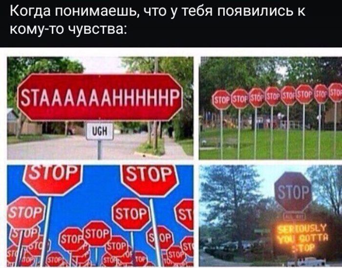 Прикольные картинки