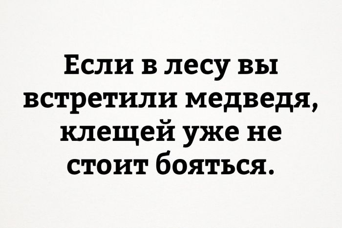 Прикольные картинки