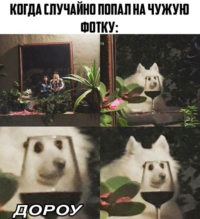 Прикольные картинки