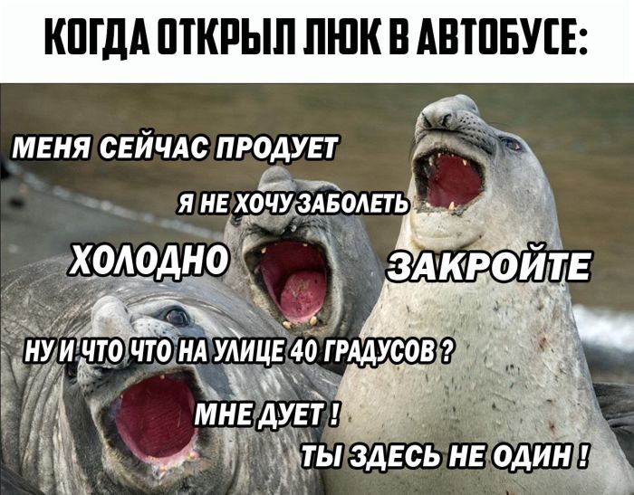 Прикольные картинки