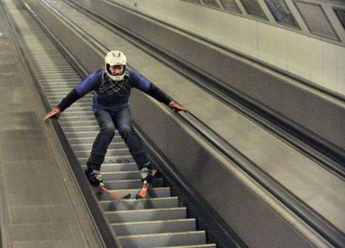 Прикольные картинки