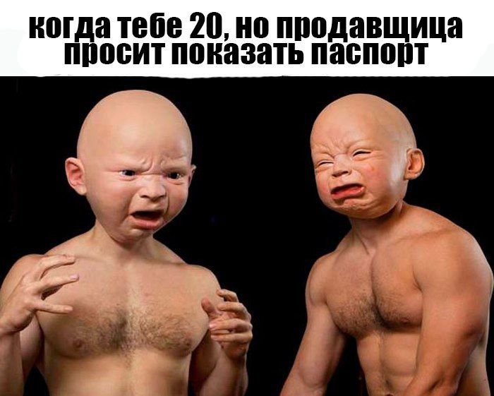 Прикольные картинки
