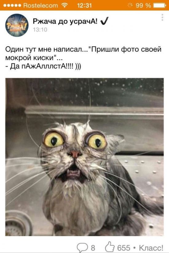 Приколы из «Одноклассников»