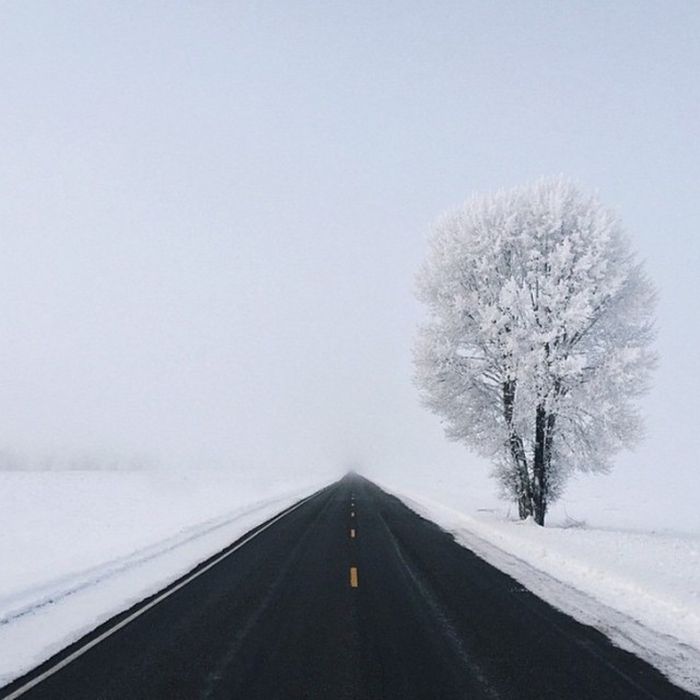 Фото, которые пробудят в вас перфекциониста