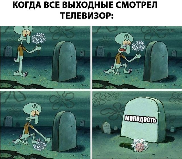 Прикольные картинки
