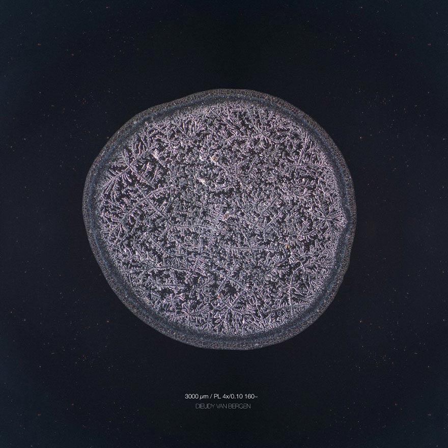 Скрытая красота: оказывается, наши слёзы имеют разную структуру, и фотограф это доказал