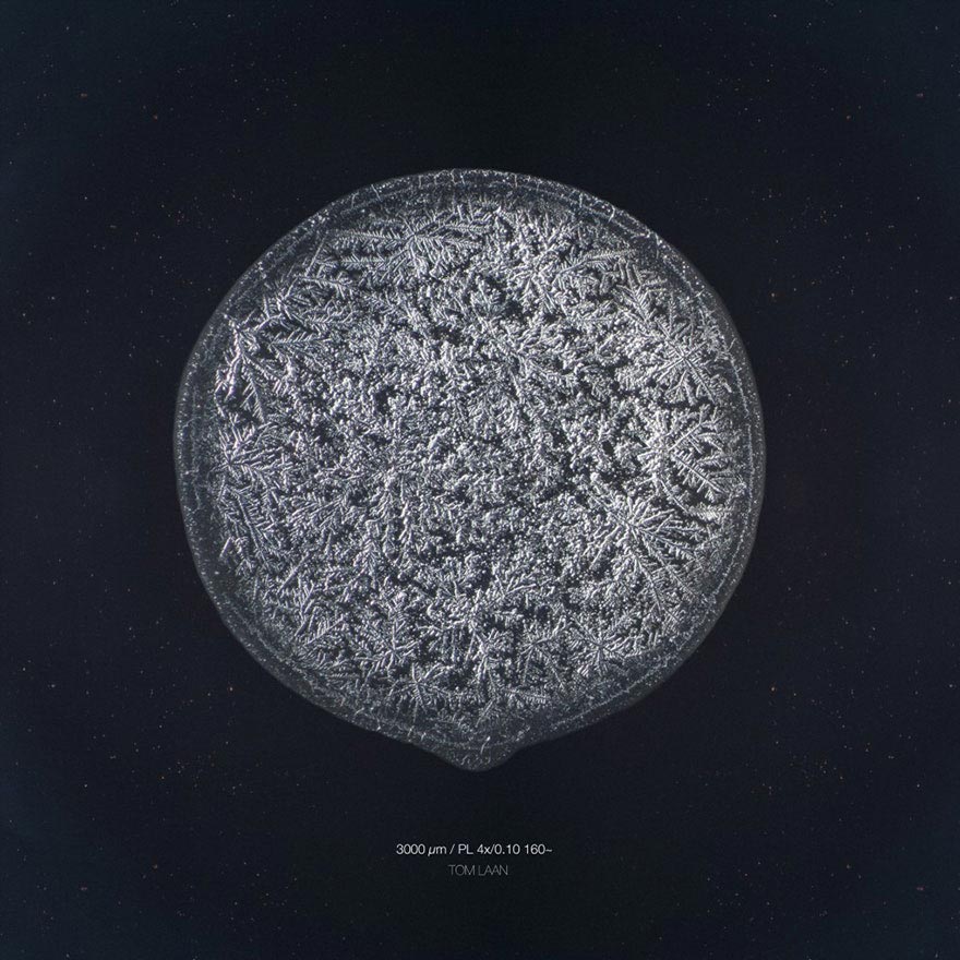 Скрытая красота: оказывается, наши слёзы имеют разную структуру, и фотограф это доказал