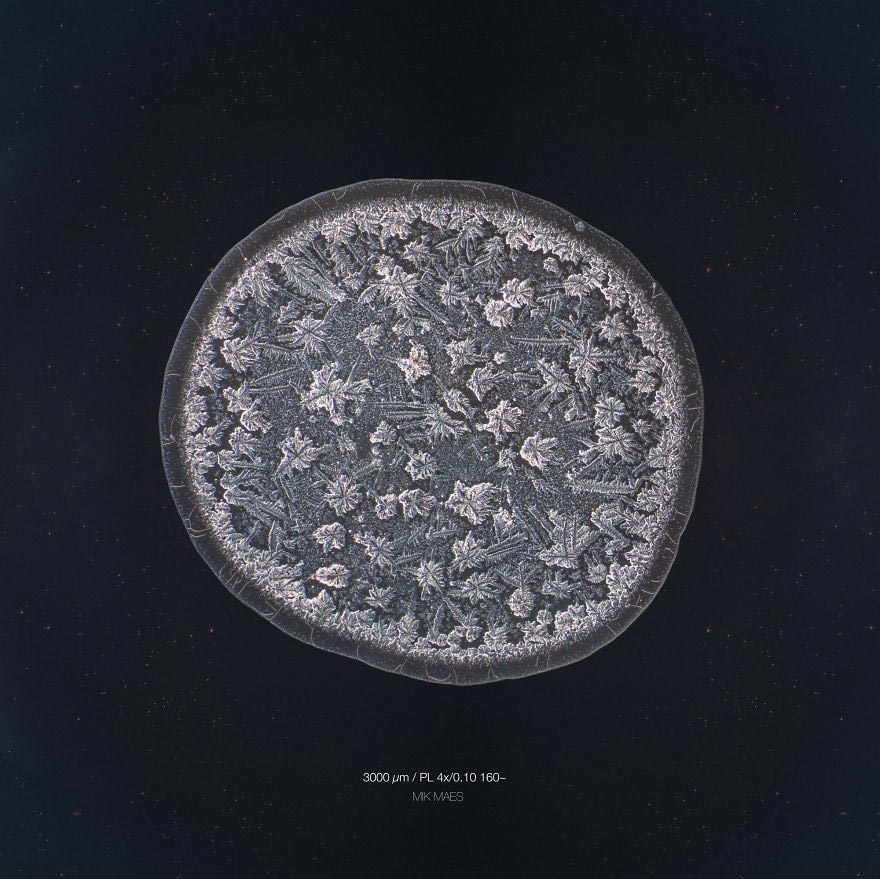 Скрытая красота: оказывается, наши слёзы имеют разную структуру, и фотограф это доказал