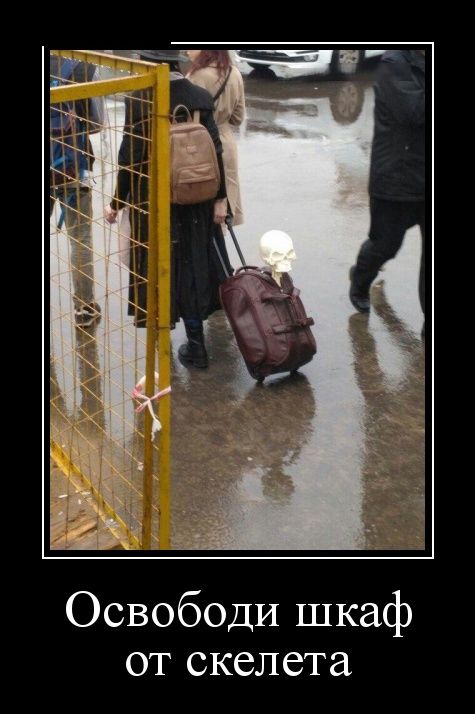 Демотиваторы