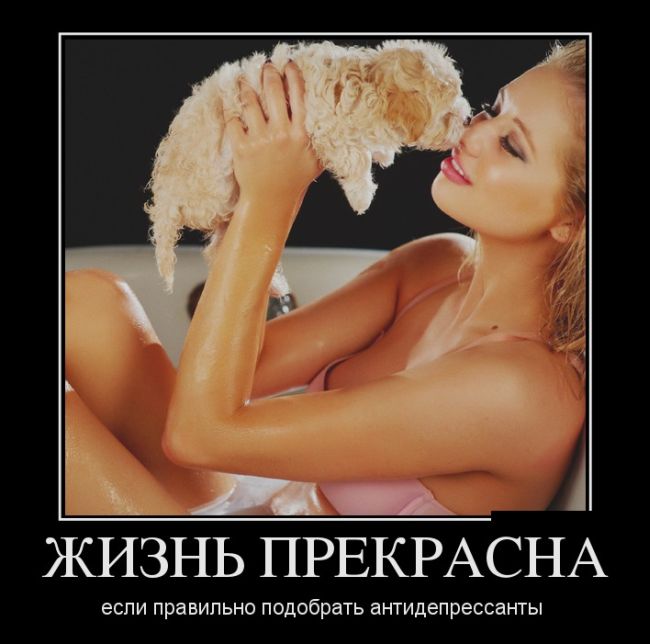 Демотиваторы