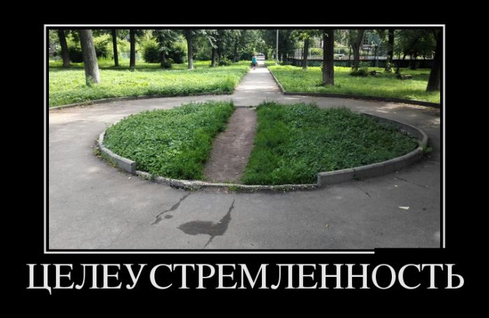 Демотиваторы