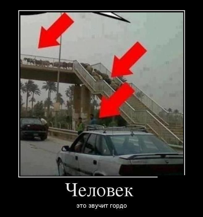 Демотиваторы